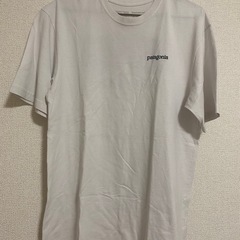 パタゴニア  Tシャツの画像