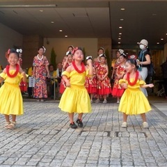 草加市フラダンス教室Loko Hula Studio ロコフラスタジオの画像