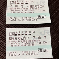 【新幹線チケット往復 指定席(博多〜東京)譲ります】の画像