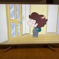 SONY BRAVIA 4K 49型 LCD TVの画像