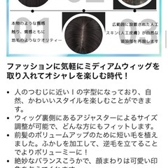 ウィッグの画像