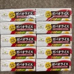 大豆のお肉　ガパオライスの素10個！の画像