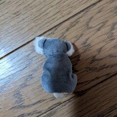 本日引取限定の画像