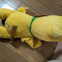 本日引取限定の画像