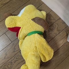 本日引取限定の画像