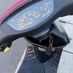ホンダLive DIO ZX エンジン絶好調❗️希少カラー軽整備の画像