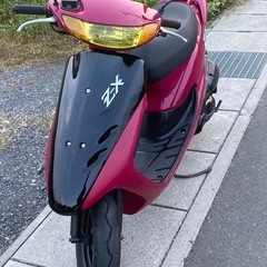 ホンダLive DIO ZX エンジン絶好調❗️希少カラー軽整備の画像