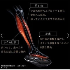 シックスパッド フットフィット/SIXPAD Foot Fit の画像