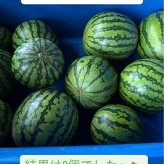 【大玉西瓜】超お得コンテナ販売の画像