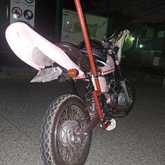 エイプ50の画像