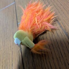 本日引取限定の画像