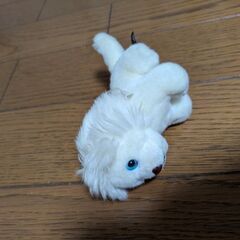 本日引取限定の画像