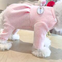 【KUVEELA 】犬　ルームウェアの画像