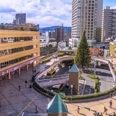 ハト探偵事務所 【首都圏の浮気調査】 ⭐️ 1時間 4,125円...