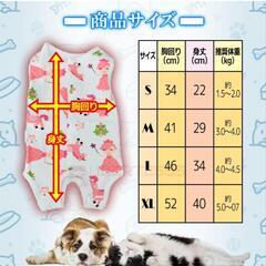 【Liberte555 】エリザベスウェア　犬、猫兼用 の画像