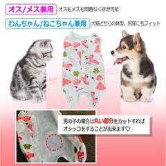 【Liberte555 】エリザベスウェア　犬、猫兼用 の画像