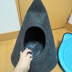 猫用ベット2種の画像