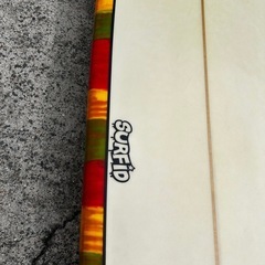 surf id ロングボードの画像