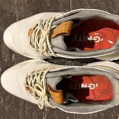 PUMA プーマ ゴルフシューズ 25cmの画像