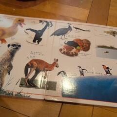 汚れあり絵本3冊の画像