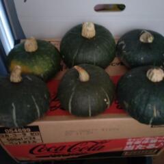 【激安‼️】　かぼちゃ　🎃　坊っちゃんかぼちゃ　一玉　500gから1kgの画像