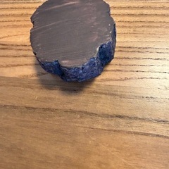 爬虫類などのペット用餌入れの画像