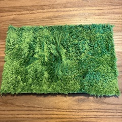 爬虫類用乾燥防止マットの画像