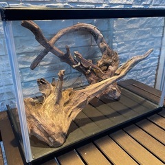 流木 アクアリウム 爬虫類 ハンドメイド No.1の画像