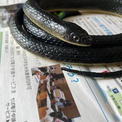 レプリカ黒ヘビの画像