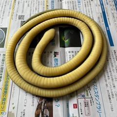 レプリカ黒ヘビの画像
