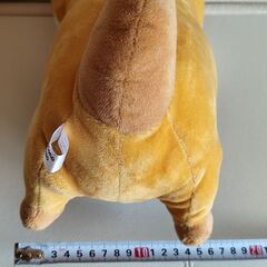 「可愛い嘘のカワウソ」のぬいぐるみの画像