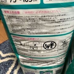 ライフリー うす型軽快パンツ 下着の感覚 超うすパンツ Lサイズの画像