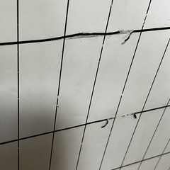 ホワイトボード　大サイズの画像