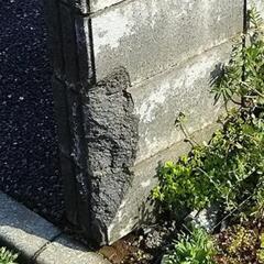 建築土木便利屋の画像
