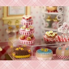The Sweet House ミニチュアスイーツショップキット　自分で可愛く作ってねの画像