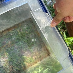 120センチ水槽類差し上げますの画像