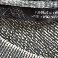 ZARA damage logカットソーの画像