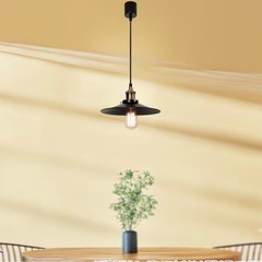ニトリ　ペンダントライト＋電球セットの画像
