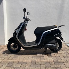 HONDA DUNKの画像