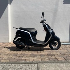 HONDA DUNKの画像