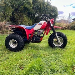 1985 ホンダATC200X  公道仕様　
honda atc200x 3輪バギーの画像