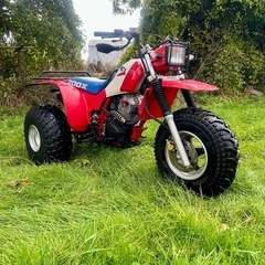 1985 ホンダATC200X  公道仕様　
honda atc200x 3輪バギーの画像