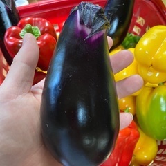 野菜　丹波篠山産　採れたて　新鮮　美味しいの画像