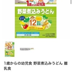 【未開封】グリコ 1歳から 幼児食 ミートスパゲティ 野菜煮込みうどんの画像