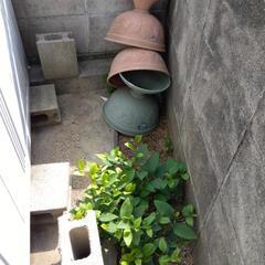 プランター　植木鉢　支柱などの画像