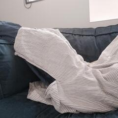 大きめ1人掛けソファの画像