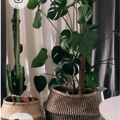 【IKEA】KRALLIG クラッリグ バスケット, シーグラス（水草）/ブラック, 25cmの画像