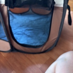 ペットサークルの画像