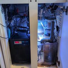 【オマケ付き】600オーバーフロー水槽セットの画像