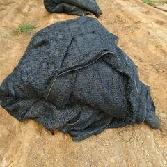 ⑪遮光ネット黒ラッセル50%　2m x 50m　状態並の画像